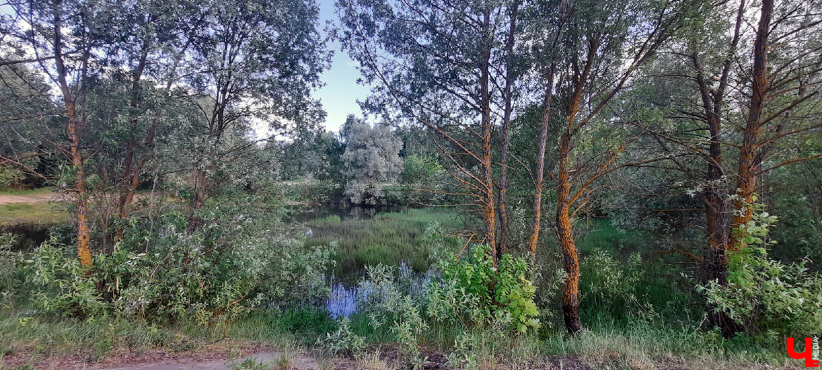 Во Владимире нет набережной, но есть места, которые хотя бы частично могли восполнить дефицит. Составили список локаций для отдыха у воды.
