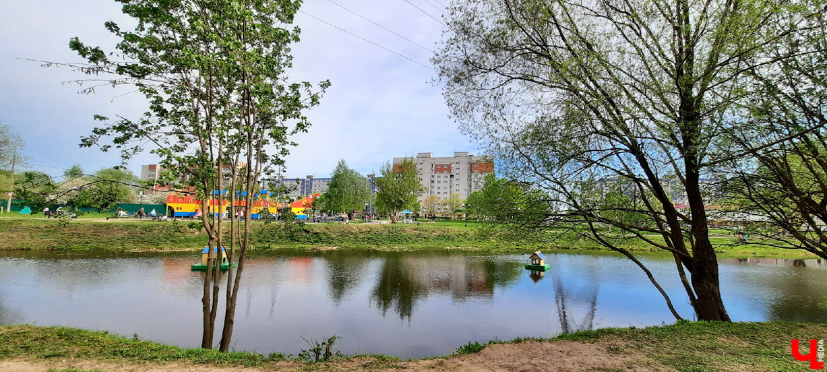 Во Владимире нет набережной, но есть места, которые хотя бы частично могли восполнить дефицит. Составили список локаций для отдыха у воды.