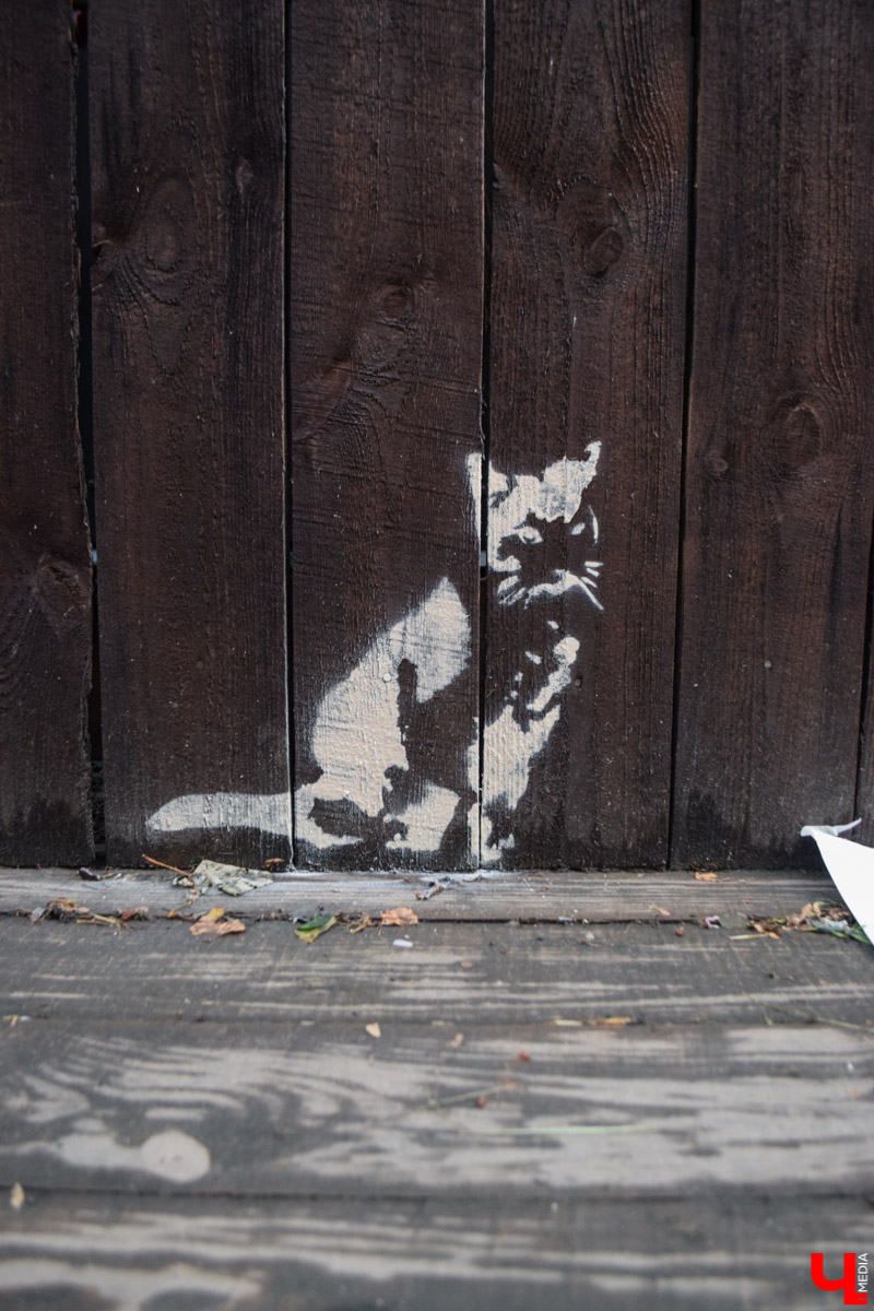 Для стрит-арта праздничные выходные получились продуктивными. Забор во дворике ЦСК теперь украшают новые граффити в стиле трафарет. Ищите Курта Кобейна, Сальвадора Дали, Мэрилин Монро и Сергея Бодрова