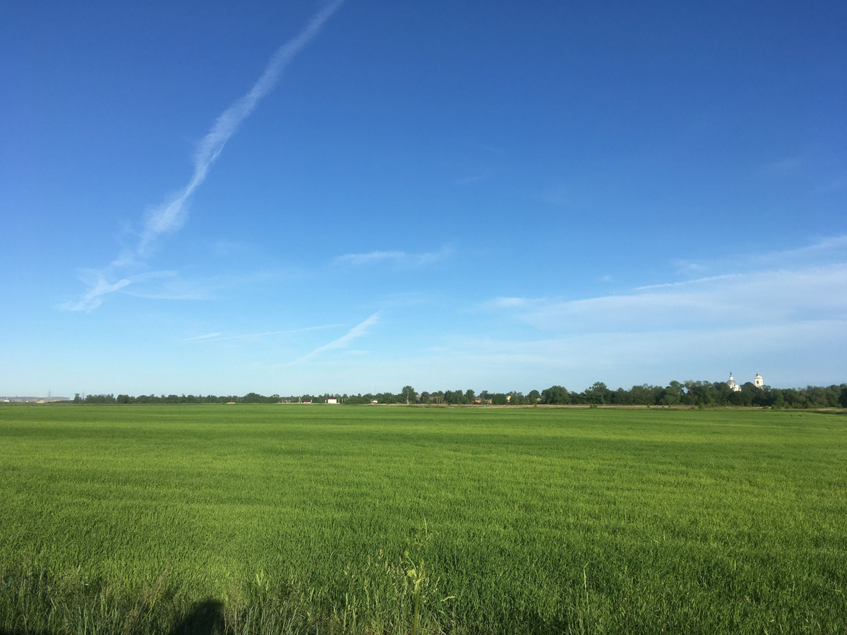 М12 строится. Платная трасса Москва-Казань идет совсем близко от Владимира и уничтожает красивейшие уголки природы.