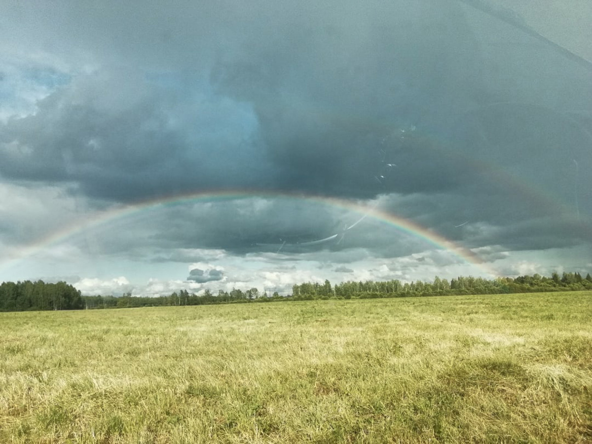 М12 строится. Платная трасса Москва-Казань идет совсем близко от Владимира и уничтожает красивейшие уголки природы.