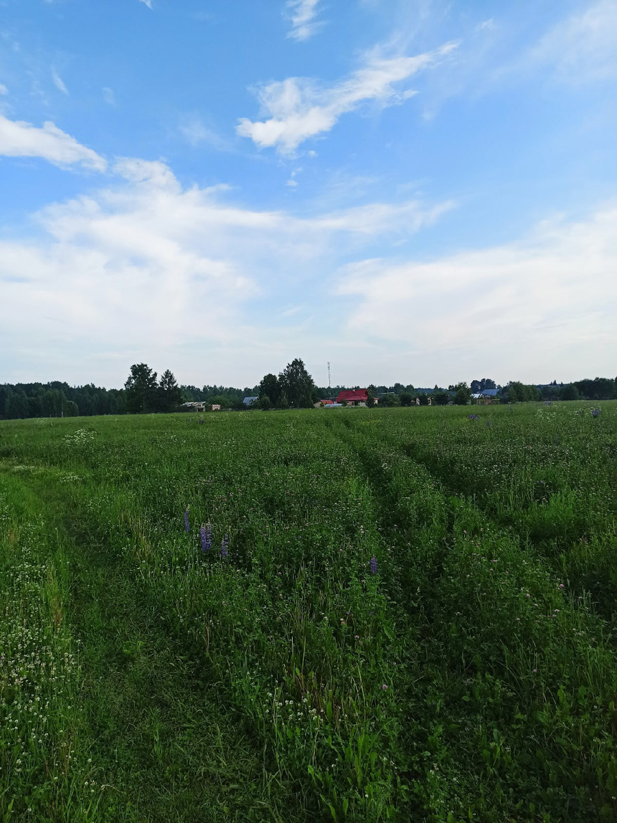 М12 строится. Платная трасса Москва-Казань идет совсем близко от Владимира и уничтожает красивейшие уголки природы.