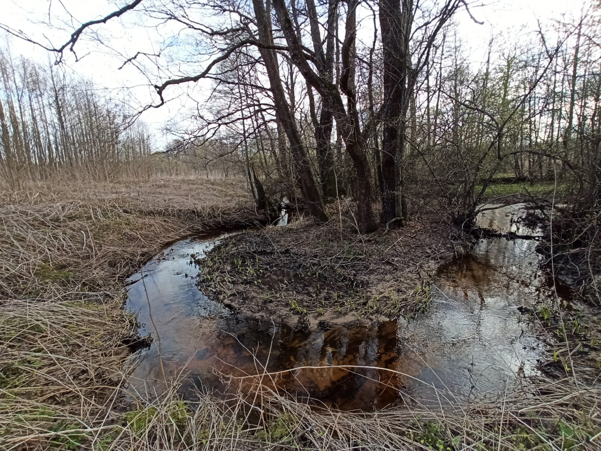 М12 строится. Платная трасса Москва-Казань идет совсем близко от Владимира и уничтожает красивейшие уголки природы.