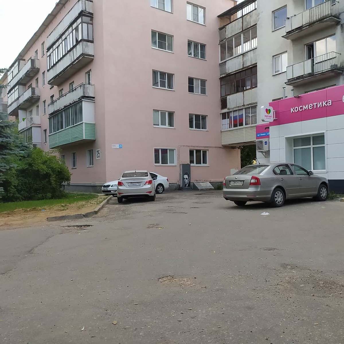 Сразу 5 новых граффити появились во Владимире. Какие мотивы были у их авторов и по какому адресу теперь искать настенную живопись?