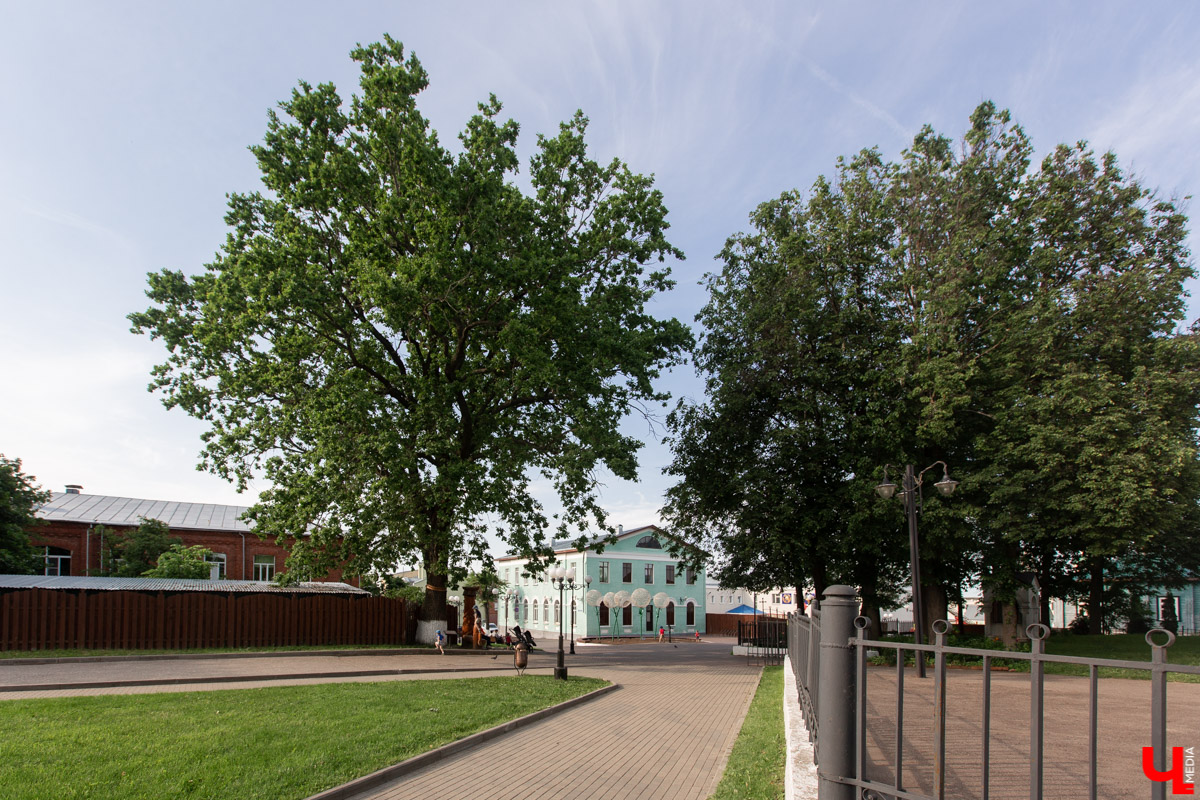 Приятно говорить о позитивном! Владимирский дуб и черкутинский мультик участвуют в федеральных конкурсах.