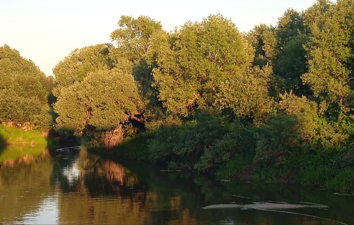 Июнь перевыполнил план по жаре. Надеемся, и июль будет достаточно летним. А потому делимся советами: где можно искупаться?