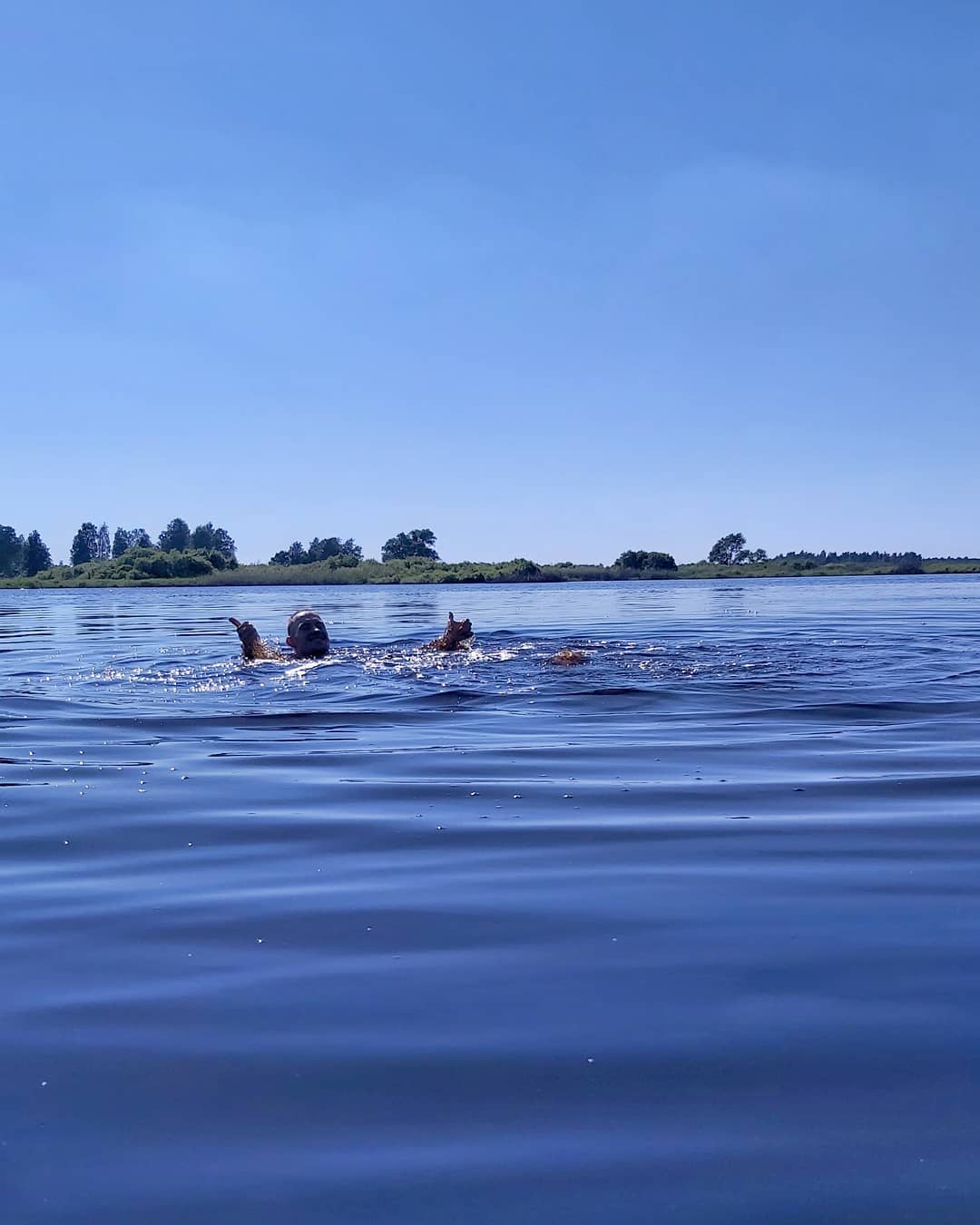 Июнь перевыполнил план по жаре. Надеемся, и июль будет достаточно летним. А потому делимся советами: где можно искупаться?