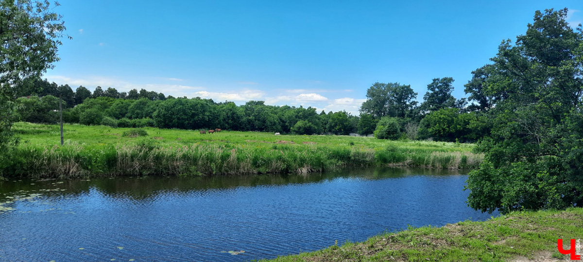 В Суздале за великолепным пейзажем далеко ходить не надо. Но все же порой гостю древнего города нелегко сориентироваться. Поэтому мы составили фотогид для большой прогулки.