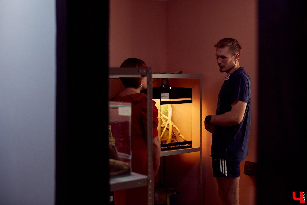 Теперь во Владимире есть экзотариум. В чем суть проекта и кто его авторы — обо всем в нашем материале.