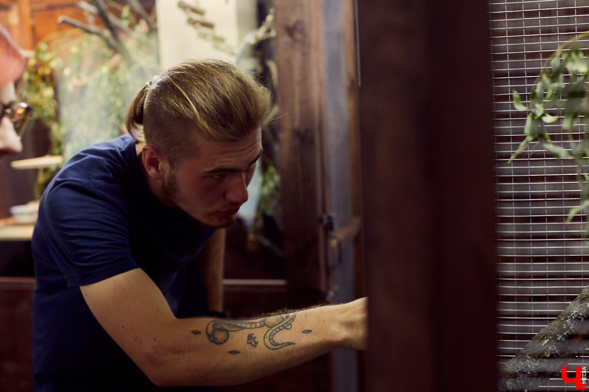 Теперь во Владимире есть экзотариум. В чем суть проекта и кто его авторы — обо всем в нашем материале.