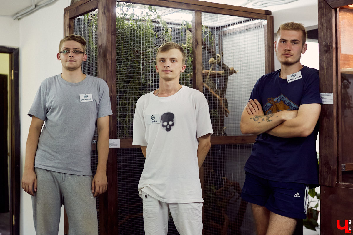 Теперь во Владимире есть экзотариум. В чем суть проекта и кто его авторы — обо всем в нашем материале.