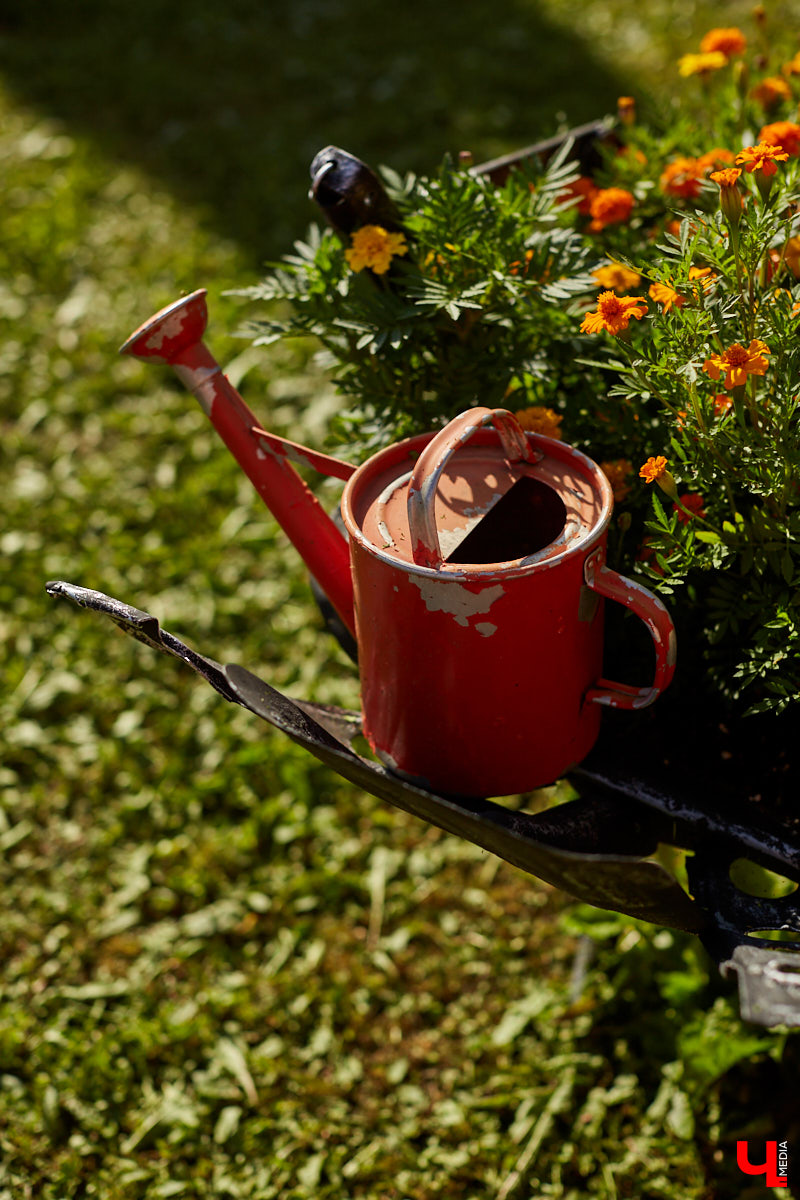 Не так давно «Ключ-Медиа» рассказывал о первом частном доме во Владимирской области, особняке галеристов Лобовых в Юрьевце. Авторские инсталляции членов семьи, диковинные заморские сувениры и созданные знакомыми художниками работы украшают его внутренности, а давно забытый огород представляет собой творческий сад. Куда ни посмотри - разномастные металлические силуэты, причем некоторые из них имеют прикладной характер.