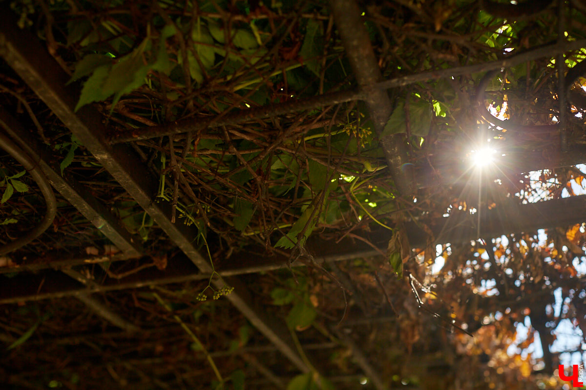 Не так давно «Ключ-Медиа» рассказывал о первом частном доме во Владимирской области, особняке галеристов Лобовых в Юрьевце. Авторские инсталляции членов семьи, диковинные заморские сувениры и созданные знакомыми художниками работы украшают его внутренности, а давно забытый огород представляет собой творческий сад. Куда ни посмотри - разномастные металлические силуэты, причем некоторые из них имеют прикладной характер.