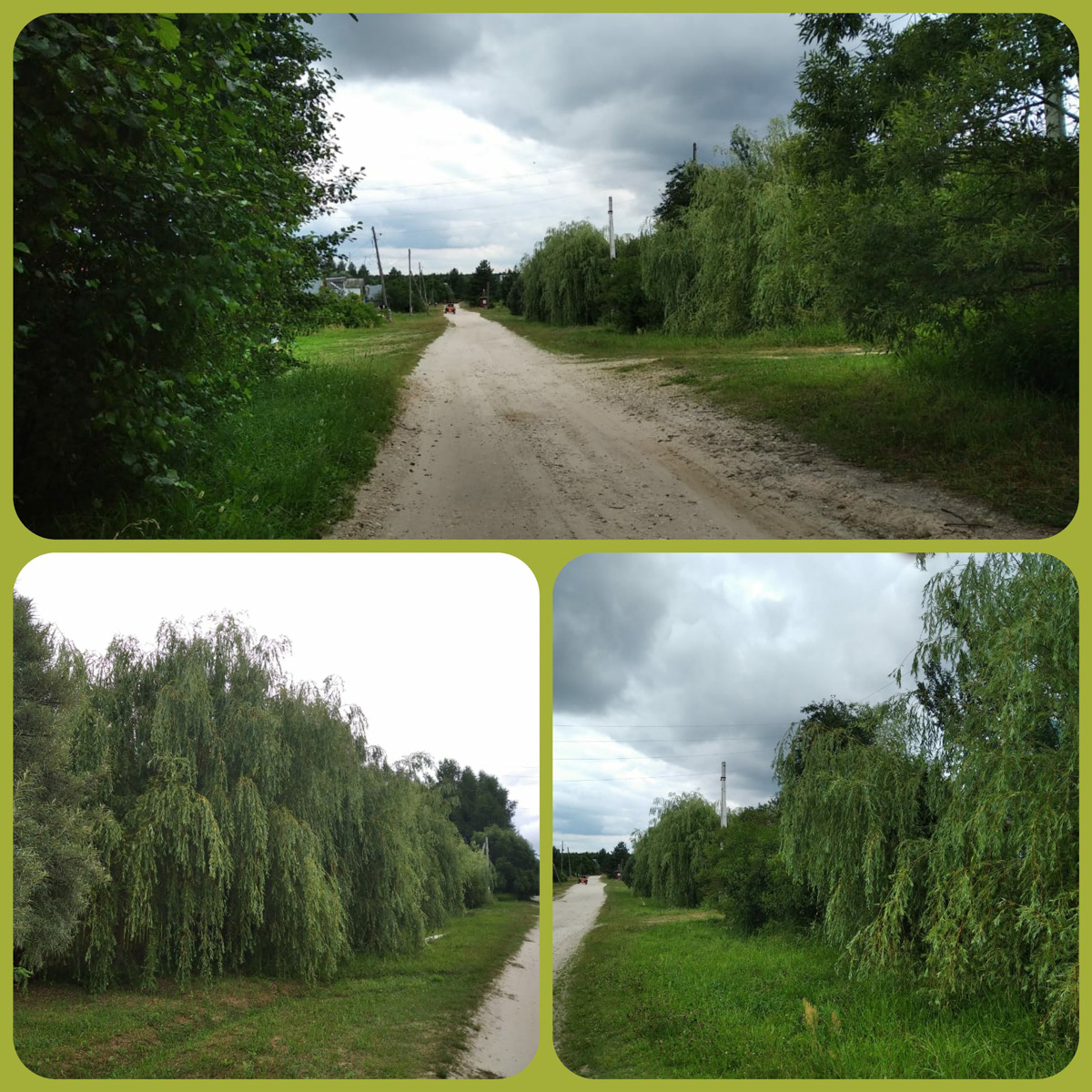 В конкурсе-смотре «Самая красивая деревня Владимирской области» примут участие все заявившиеся, а именно 119 населенных пунктов - это абсолютный рекорд проекта. Узнаем, когда стартует знакомство с «героинями» и какие нововведения привнес оргкомитет в этому году.