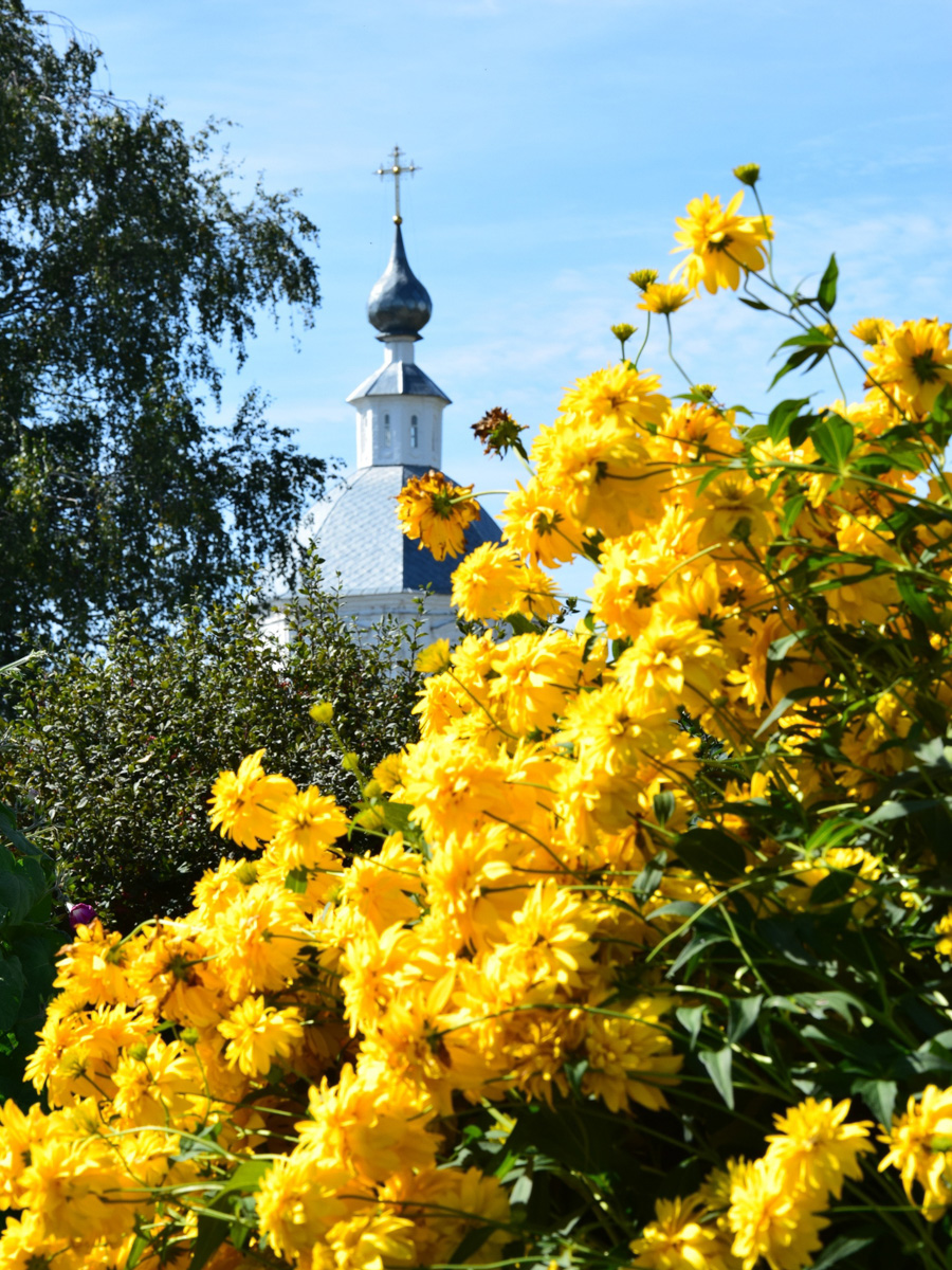 В конкурсе-смотре «Самая красивая деревня Владимирской области» примут участие все заявившиеся, а именно 119 населенных пунктов - это абсолютный рекорд проекта. Узнаем, когда стартует знакомство с «героинями» и какие нововведения привнес оргкомитет в этому году.