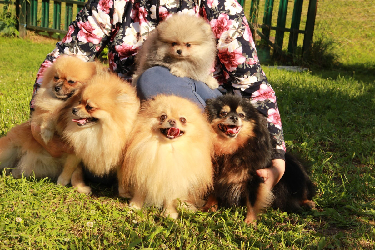 В конкурсе-смотре «Самая красивая деревня Владимирской области» примут участие все заявившиеся, а именно 119 населенных пунктов - это абсолютный рекорд проекта. Узнаем, когда стартует знакомство с «героинями» и какие нововведения привнес оргкомитет в этому году.