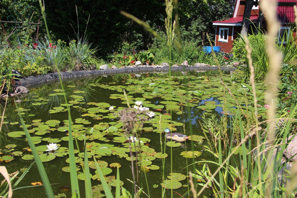 В конкурсе-смотре «Самая красивая деревня Владимирской области» примут участие все заявившиеся, а именно 119 населенных пунктов - это абсолютный рекорд проекта. Узнаем, когда стартует знакомство с «героинями» и какие нововведения привнес оргкомитет в этому году.