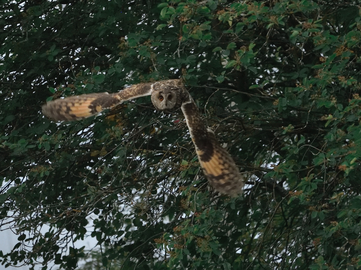 В конкурсе-смотре «Самая красивая деревня Владимирской области» примут участие все заявившиеся, а именно 119 населенных пунктов - это абсолютный рекорд проекта. Узнаем, когда стартует знакомство с «героинями» и какие нововведения привнес оргкомитет в этому году.