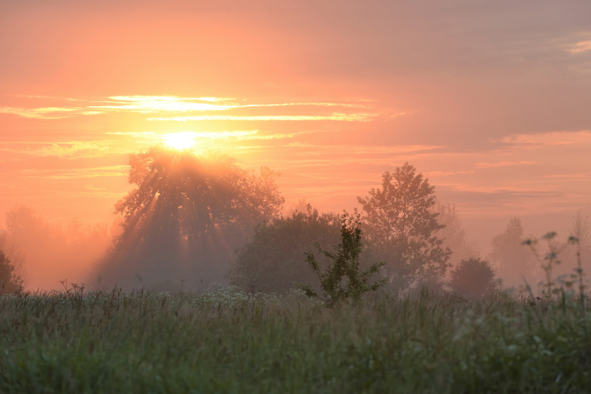 В конкурсе-смотре «Самая красивая деревня Владимирской области» примут участие все заявившиеся, а именно 119 населенных пунктов - это абсолютный рекорд проекта. Узнаем, когда стартует знакомство с «героинями» и какие нововведения привнес оргкомитет в этому году.