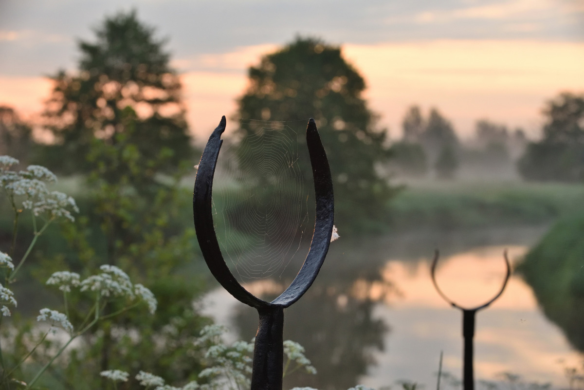 В конкурсе-смотре «Самая красивая деревня Владимирской области» примут участие все заявившиеся, а именно 119 населенных пунктов - это абсолютный рекорд проекта. Узнаем, когда стартует знакомство с «героинями» и какие нововведения привнес оргкомитет в этому году.