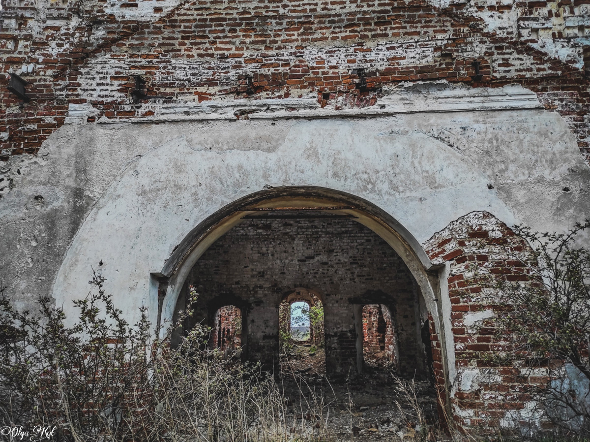 Блогер Ольга Кот снова поделилась удивительной историей о сталке. На этот раз путешественница наведалась в урочище Даниловское Юрьев-Польского района. Клад, тайный ход - а что еще для увлекательного повествования надо?!