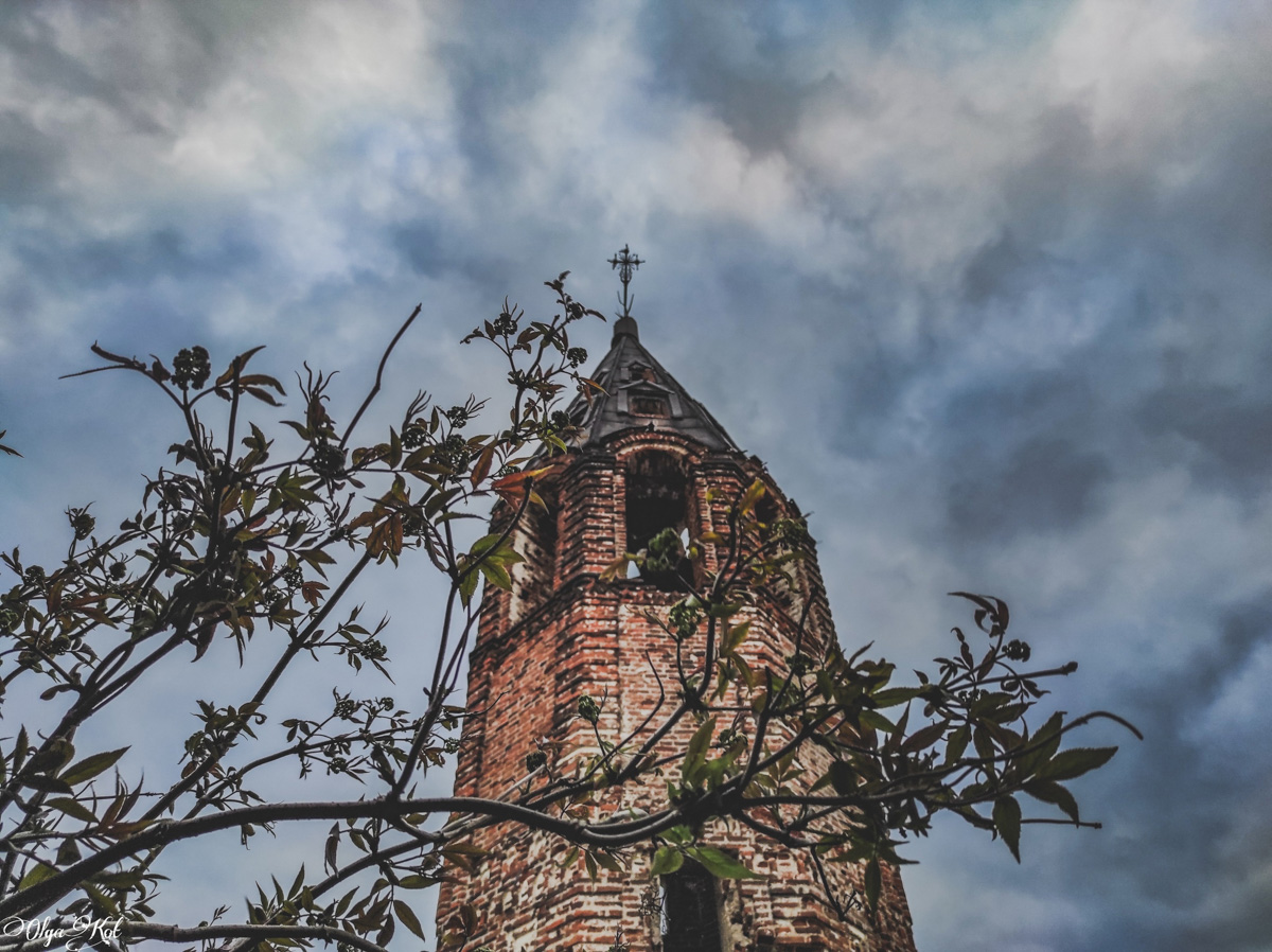 Блогер Ольга Кот снова поделилась удивительной историей о сталке. На этот раз путешественница наведалась в урочище Даниловское Юрьев-Польского района. Клад, тайный ход - а что еще для увлекательного повествования надо?!