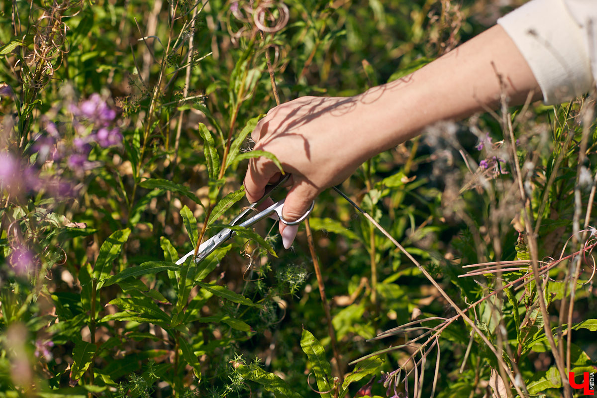 Владимирский блогер и флорист «Володя в огороде» несколько лет увлекается полевой флористикой - редким направлением цветочного дела. Учимся у мастера собирать «дорогой» подарок из бесплатного материала, то есть сорняков.