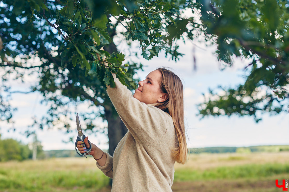 Владимирский блогер и флорист «Володя в огороде» несколько лет увлекается полевой флористикой - редким направлением цветочного дела. Учимся у мастера собирать «дорогой» подарок из бесплатного материала, то есть сорняков.