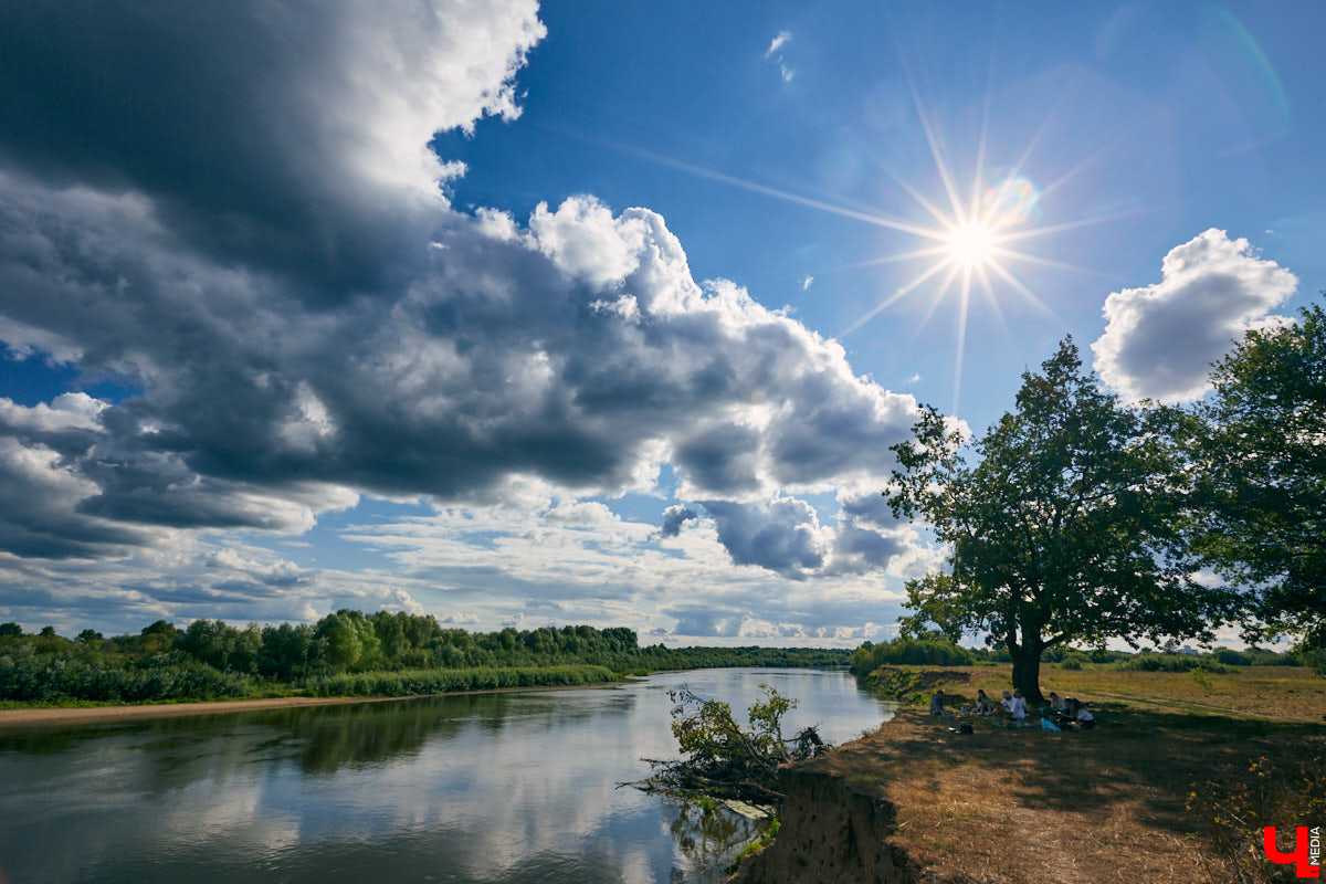 Владимирский блогер и флорист «Володя в огороде» несколько лет увлекается полевой флористикой - редким направлением цветочного дела. Учимся у мастера собирать «дорогой» подарок из бесплатного материала, то есть сорняков.