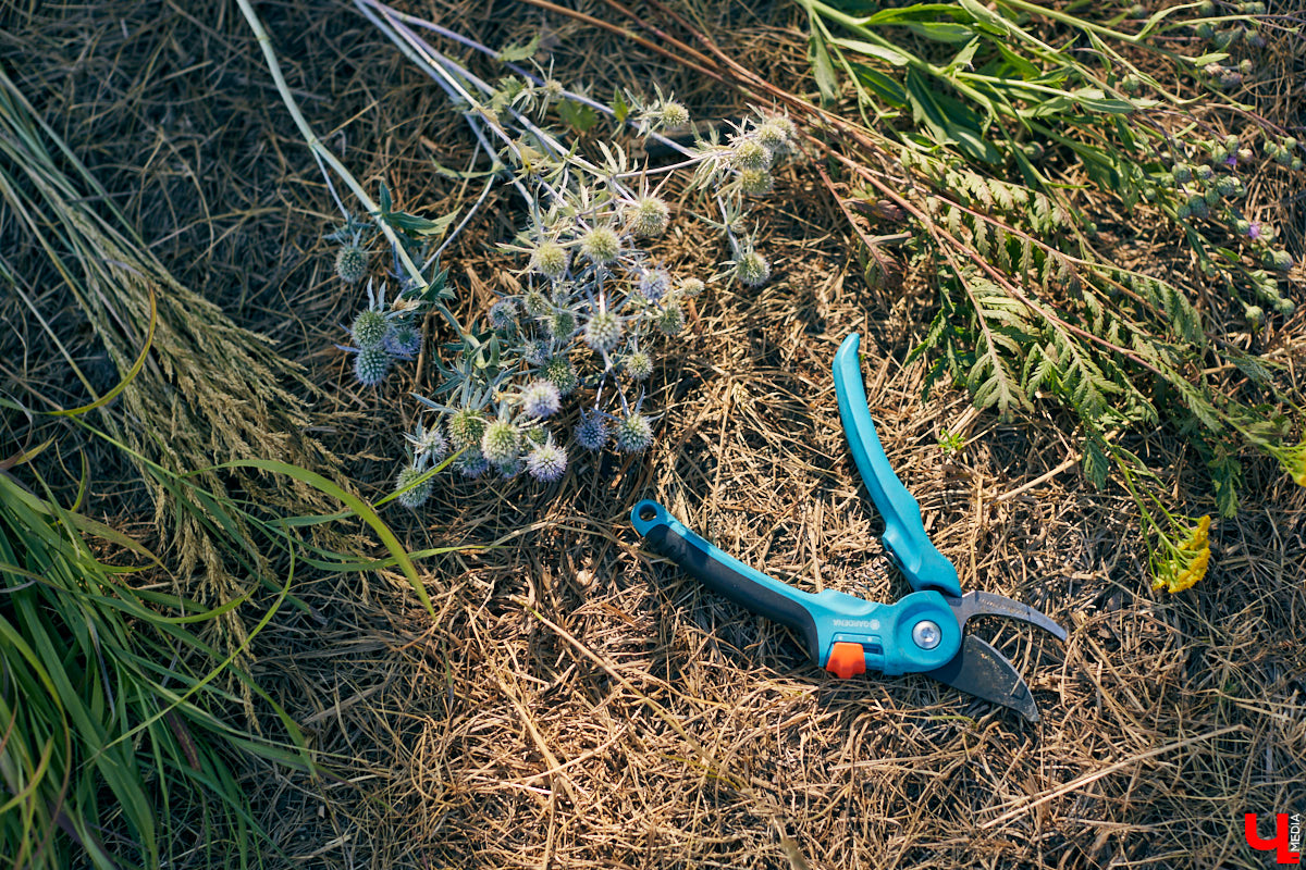 Владимирский блогер и флорист «Володя в огороде» несколько лет увлекается полевой флористикой - редким направлением цветочного дела. Учимся у мастера собирать «дорогой» подарок из бесплатного материала, то есть сорняков.