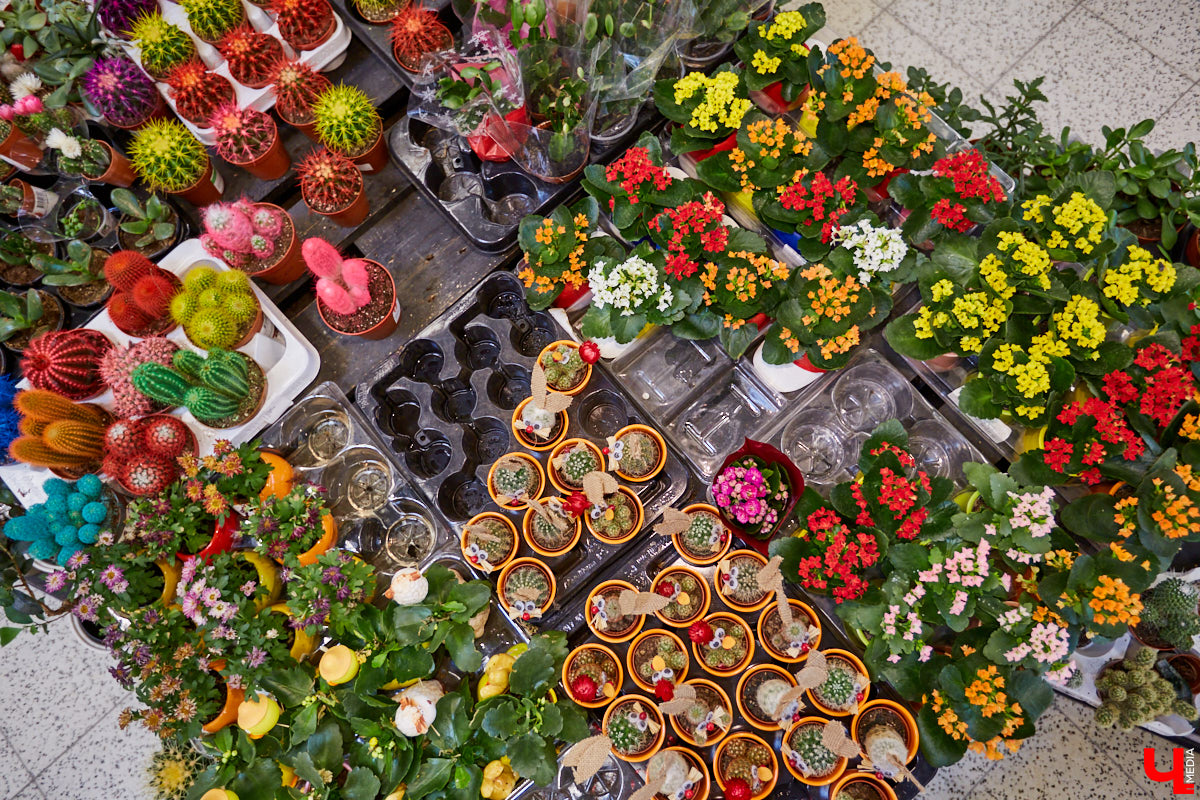Руководитель танцевальной академии «LaViDanza» и бизнесвумен освоила навыки андалузских гаспачеро.