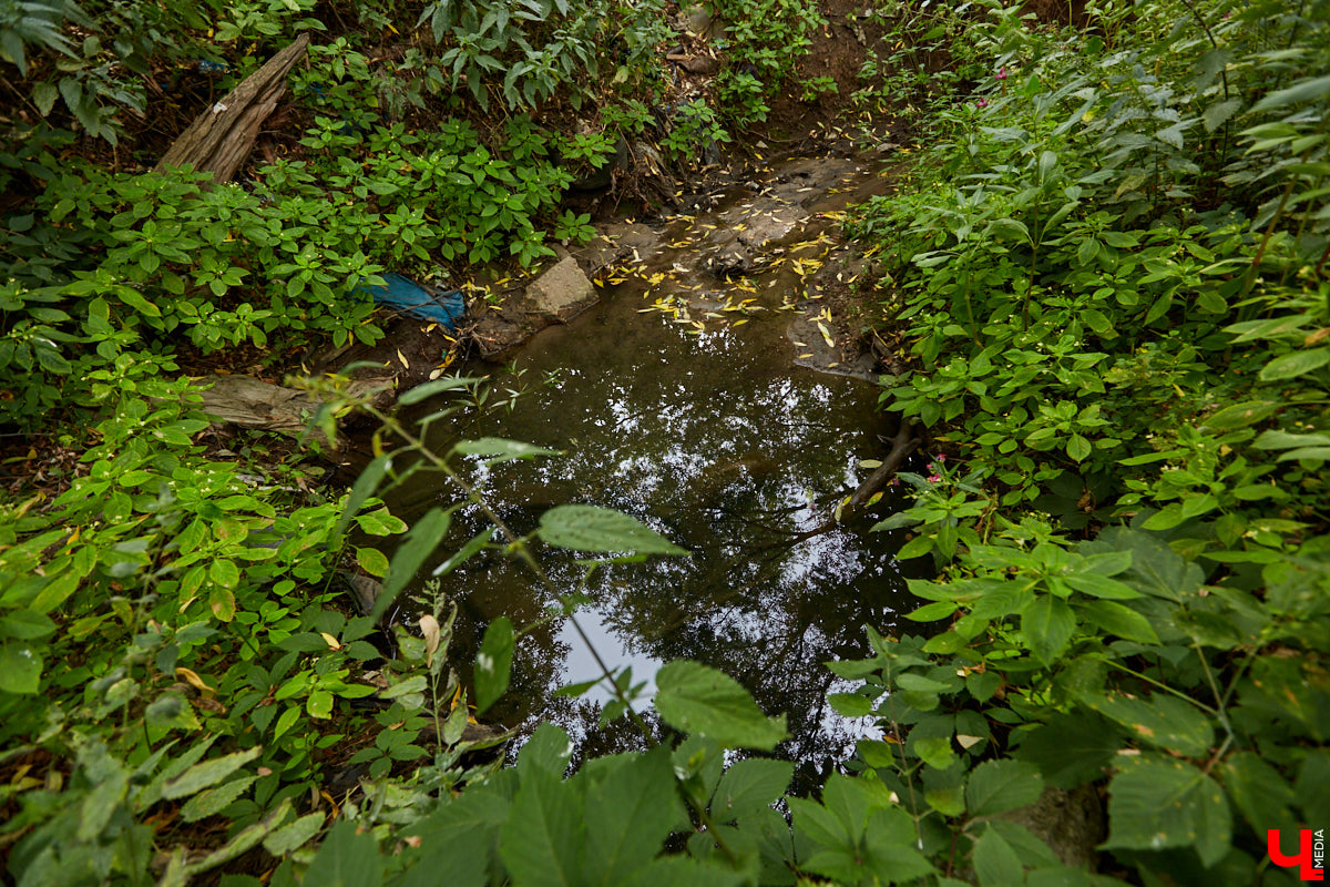 Слышали, что во Владимире есть река Чечёра? Да, она не знаменита. Но существует. И от ее будущего зависит очень многое.