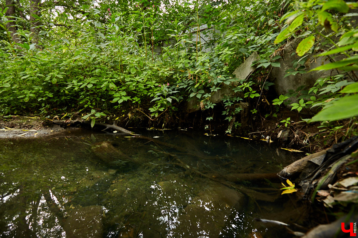 Слышали, что во Владимире есть река Чечёра? Да, она не знаменита. Но существует. И от ее будущего зависит очень многое.
