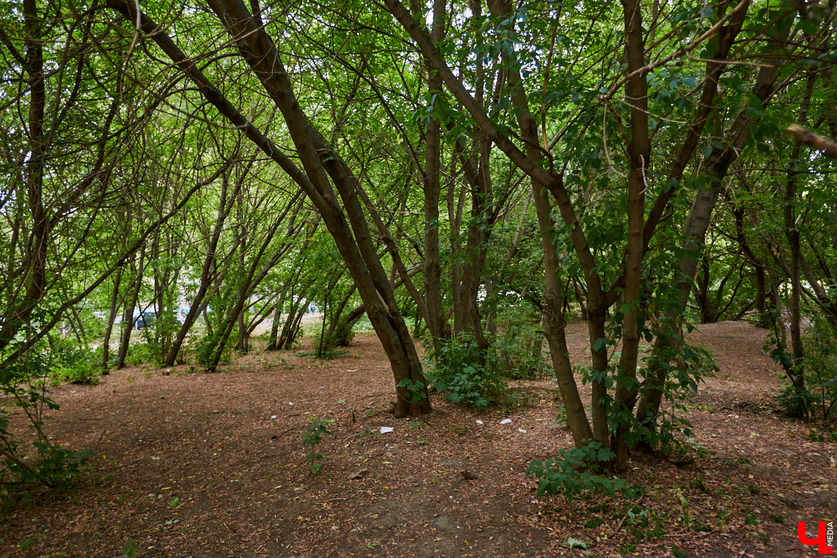 Слышали, что во Владимире есть река Чечёра? Да, она не знаменита. Но существует. И от ее будущего зависит очень многое.
