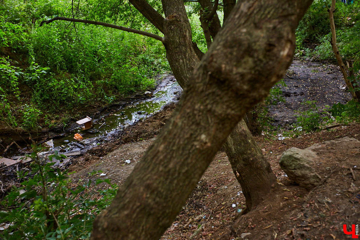 Слышали, что во Владимире есть река Чечёра? Да, она не знаменита. Но существует. И от ее будущего зависит очень многое.