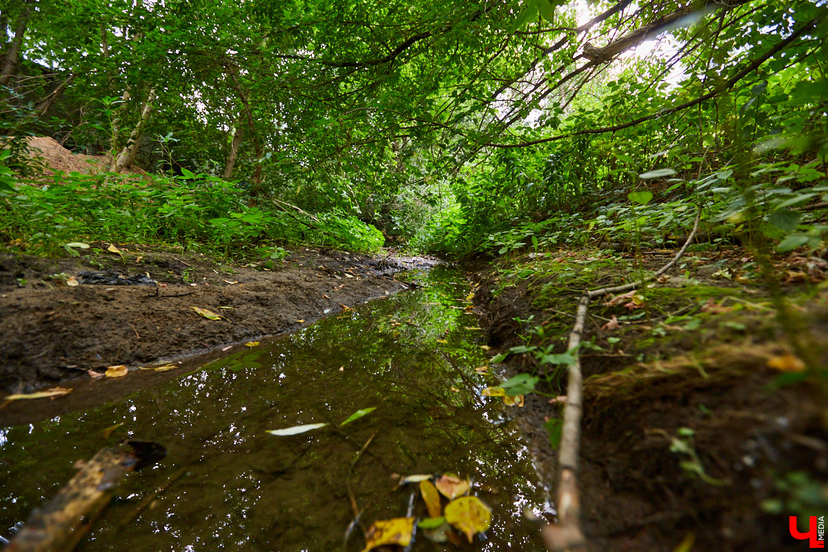 Слышали, что во Владимире есть река Чечёра? Да, она не знаменита. Но существует. И от ее будущего зависит очень многое.
