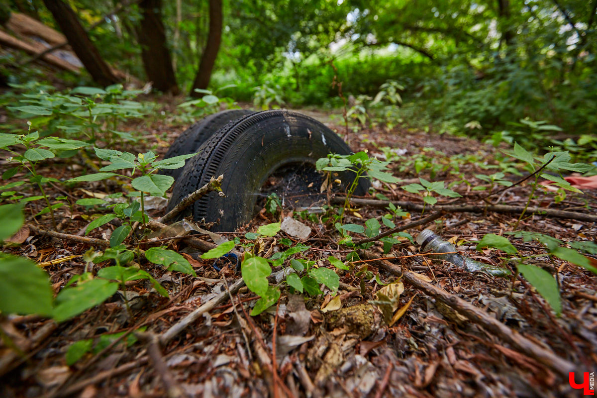 Слышали, что во Владимире есть река Чечёра? Да, она не знаменита. Но существует. И от ее будущего зависит очень многое.