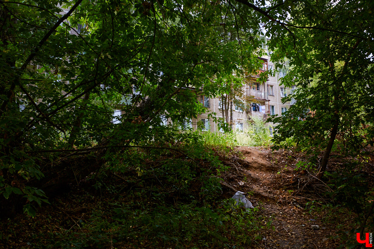 Слышали, что во Владимире есть река Чечёра? Да, она не знаменита. Но существует. И от ее будущего зависит очень многое.