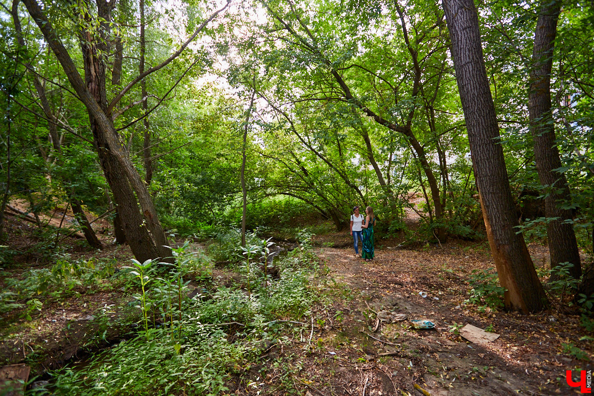 Слышали, что во Владимире есть река Чечёра? Да, она не знаменита. Но существует. И от ее будущего зависит очень многое.