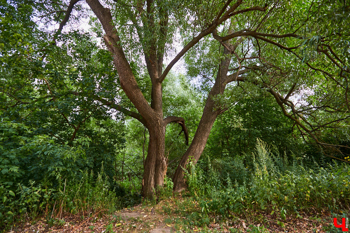 Слышали, что во Владимире есть река Чечёра? Да, она не знаменита. Но существует. И от ее будущего зависит очень многое.