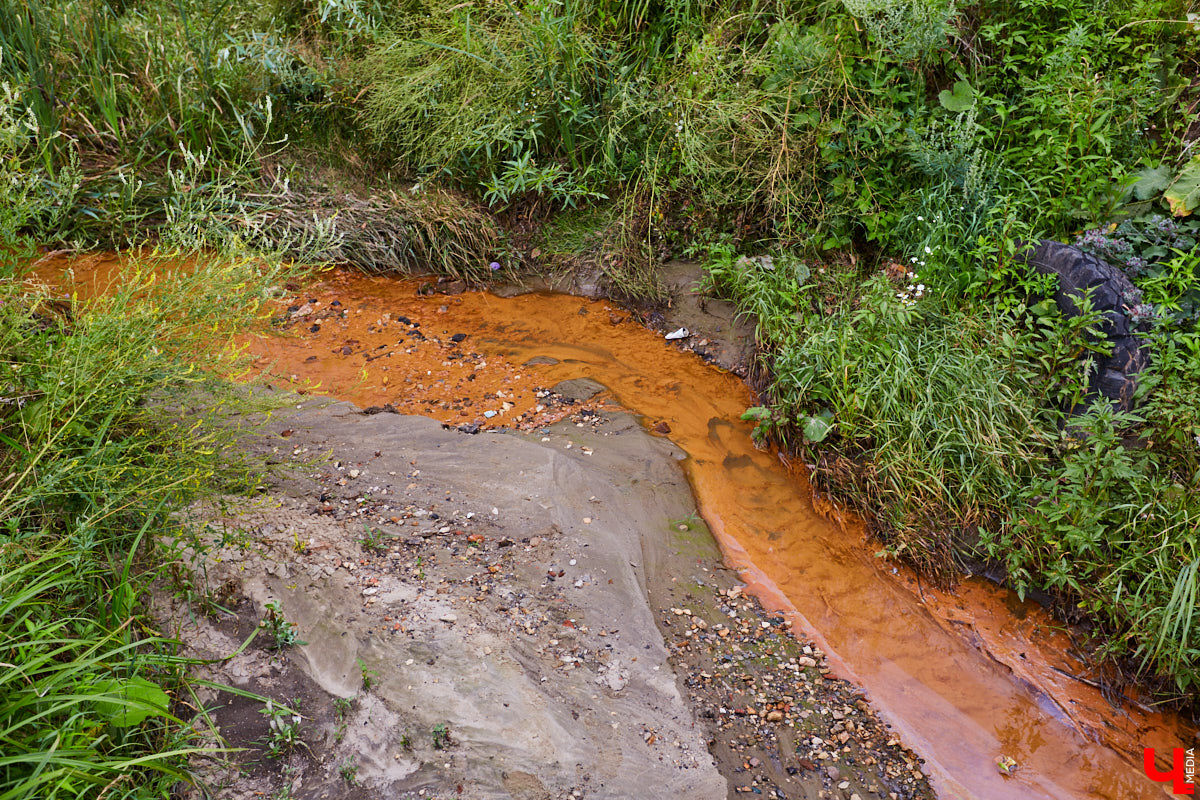Слышали, что во Владимире есть река Чечёра? Да, она не знаменита. Но существует. И от ее будущего зависит очень многое.