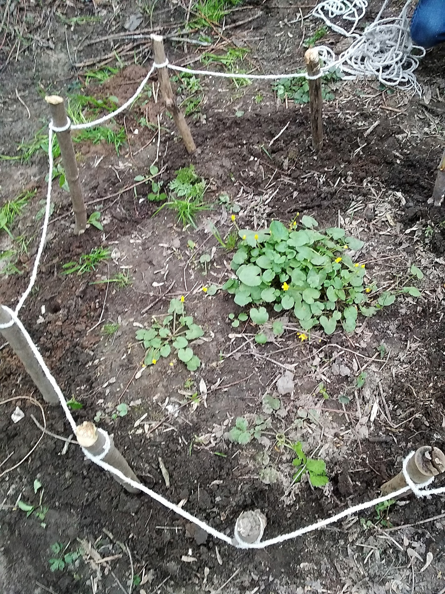 Слышали, что во Владимире есть река Чечёра? Да, она не знаменита. Но существует. И от ее будущего зависит очень многое.