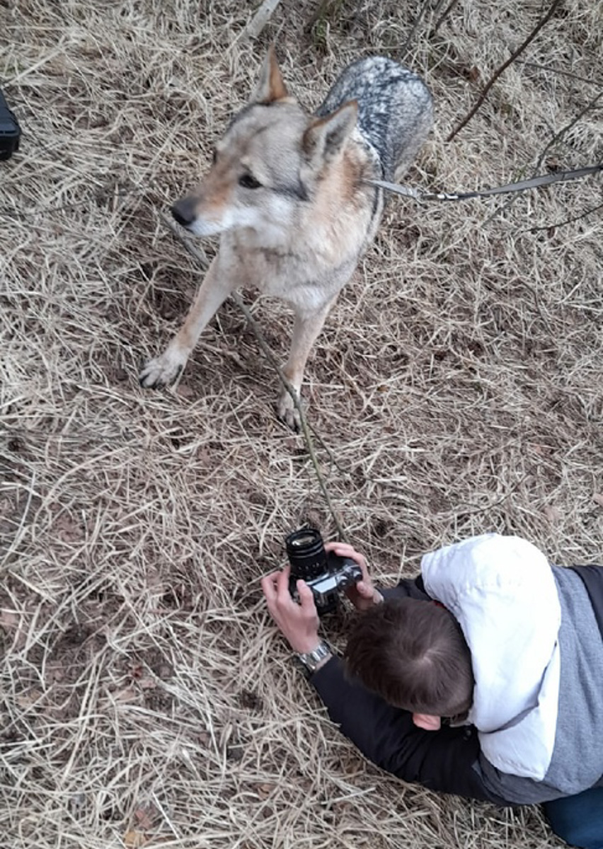 «Приветствую, друже! Загадочная тропа привела тебя сюда не просто так. Каждая песня «Агидель» - это отдельный мир, в котором схлестнулись добро и зло», - именно такие строки встречают каждого, кто решит зайти на страницу владимирской фолк-рок группы «Агидель». . А еще в самом верху ленты всех любопытных ждет новый клип группы на песню «Воет волк».