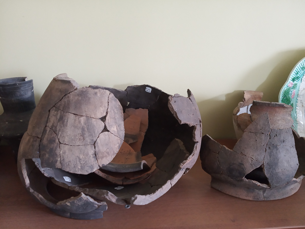 15 августа в России отметили свой профессиональный день археологи. Не поговорить на тему раскопок в такую дату было бы просто преступлением. И оттого сегодня речь пойдет про самые ценные находки «Владимирского областного центра археологии при ВлГУ» и предстоящие ему раскопки.