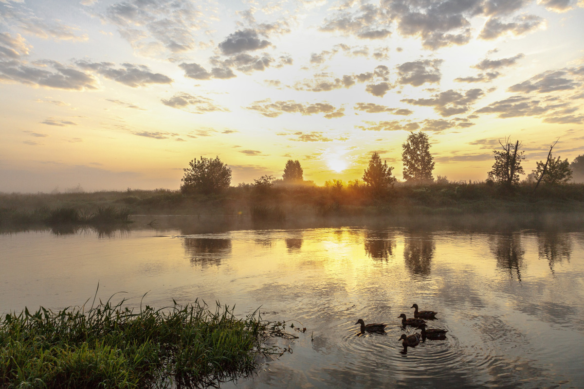 Завтра вам срочно надо будет зайти на сайт «Самая красивая деревня Владимирской области» и поддержать участников — онлайн-конкурс стартовал.
