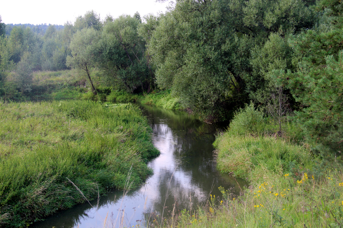 Завтра вам срочно надо будет зайти на сайт «Самая красивая деревня Владимирской области» и поддержать участников — онлайн-конкурс стартовал.