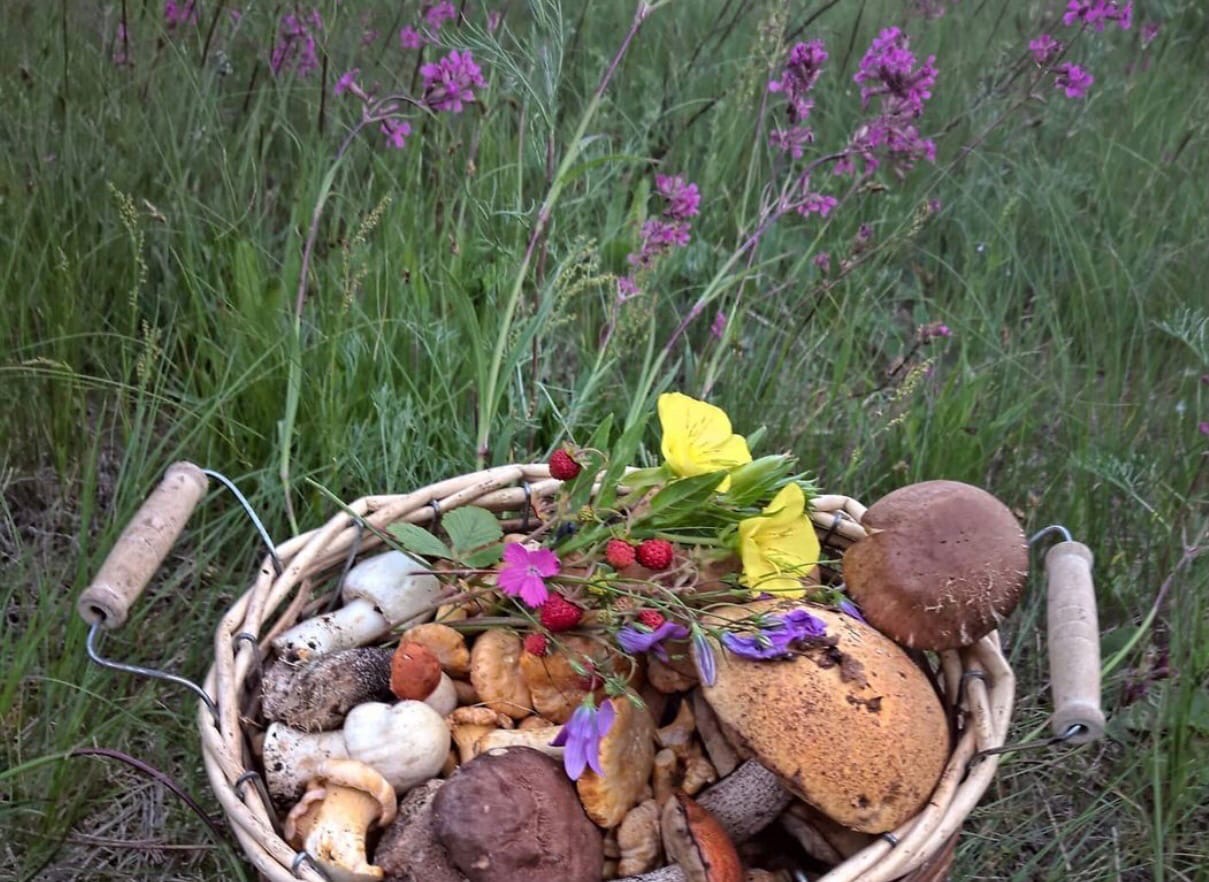 Леса нашего региона славятся разнообразием и обилием грибов. «Ключ-Медиа» выведал у тихой охотницы Марины Рубенковой, куда можно нагрянуть с пустой корзиной.