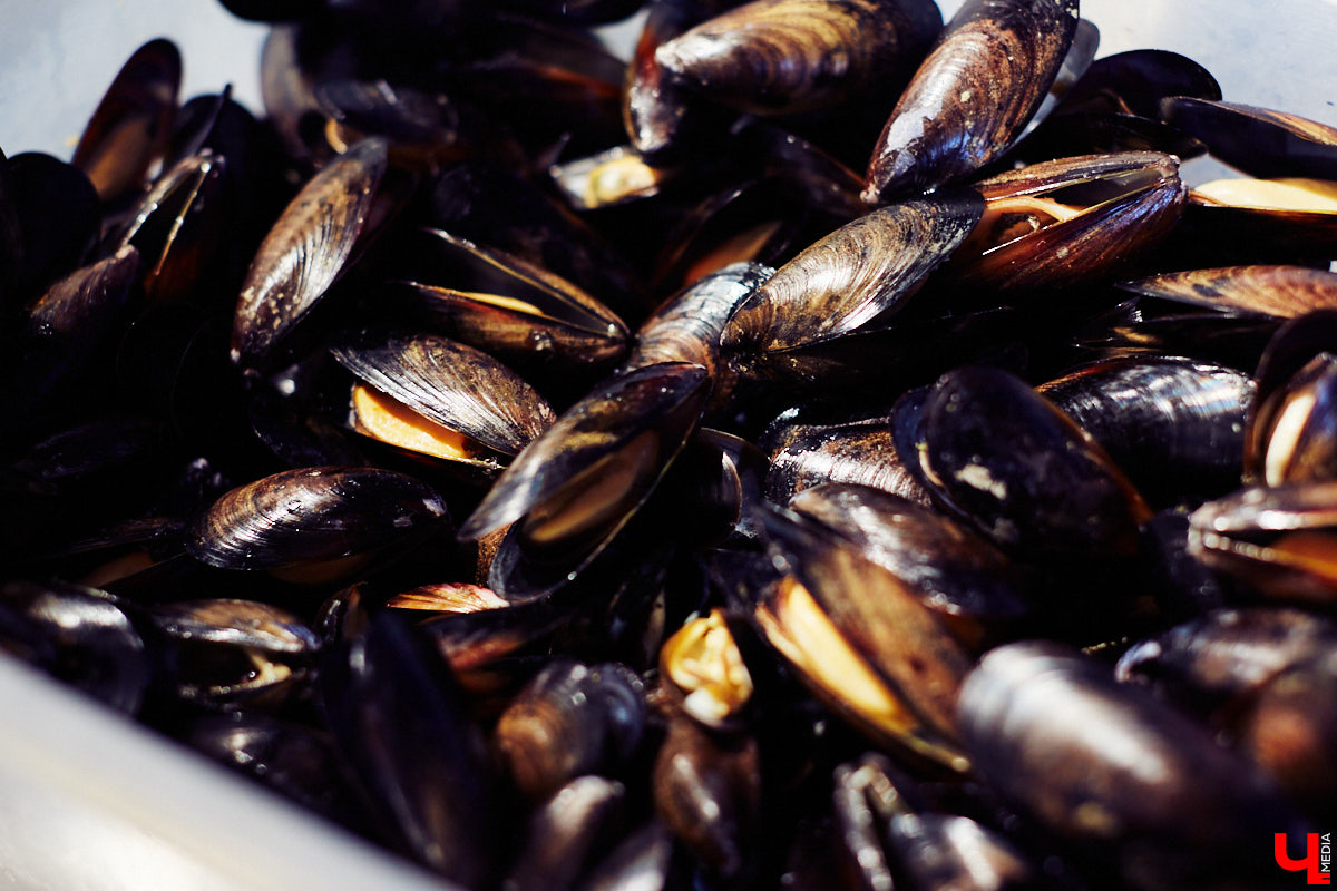 Полторы недели назад пространство гастромаркета «Рынок на Студеной» обзавелось новым рестораном «Middle», специализирующимся на мидиях. Именно чилийских, которые, пройдя термообработку, за неделю добираются до Владимира с острова Чилоэ.