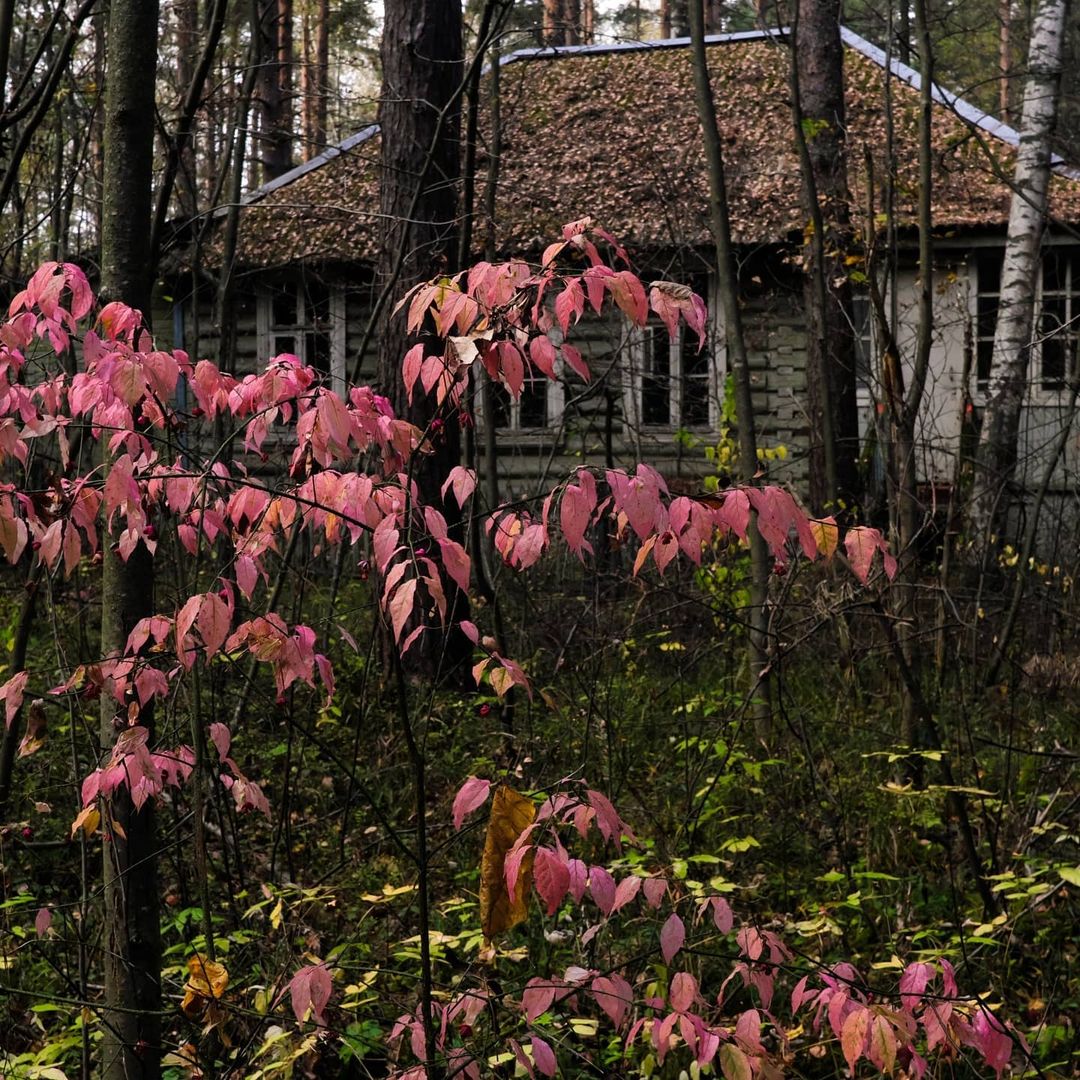 Знаете, что представляет из себя детская дача? Изучаем забытую, но хорошо сохранившуюся заброшку под Владимиром с индустриальным туристом Михаилом @abandonedvintage.