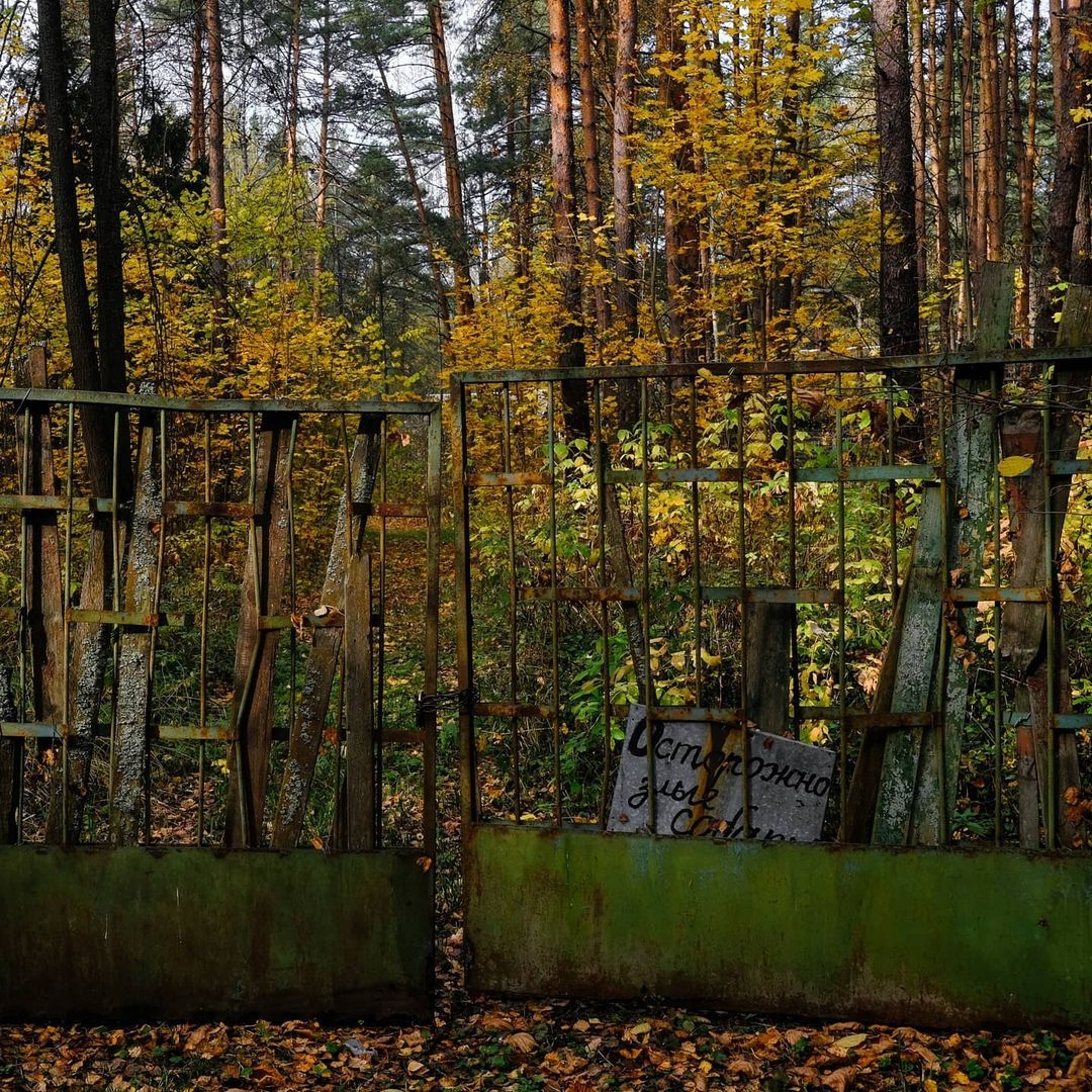 Знаете, что представляет из себя детская дача? Изучаем забытую, но хорошо сохранившуюся заброшку под Владимиром с индустриальным туристом Михаилом @abandonedvintage.